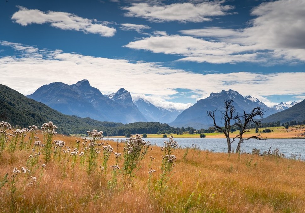 Diamond Lake and golden tussock looking into Paradise, with mountains behind