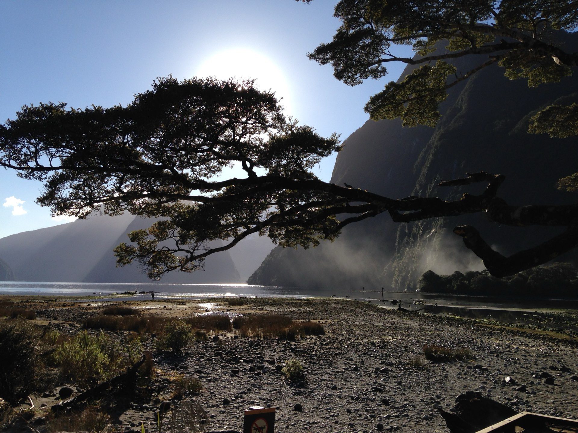 Milford Sound Private Tours from Queenstown