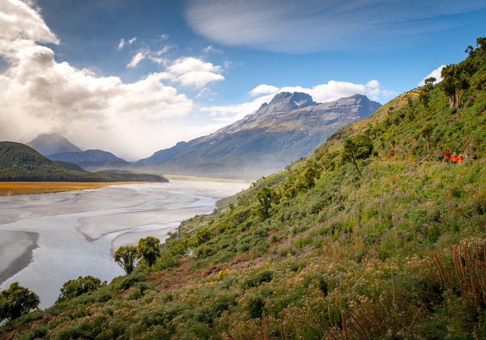 The braided Dart River valley from the slopes of Mt Alfred
