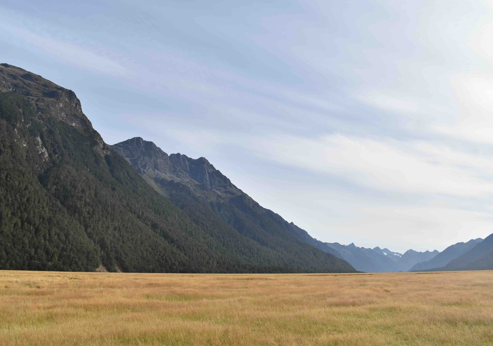The open grassland of the Eglinton Valley on the road to Milford Sound