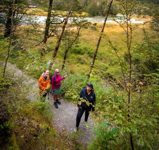 Guests walking the Routeburn Track through forest, with mountains above